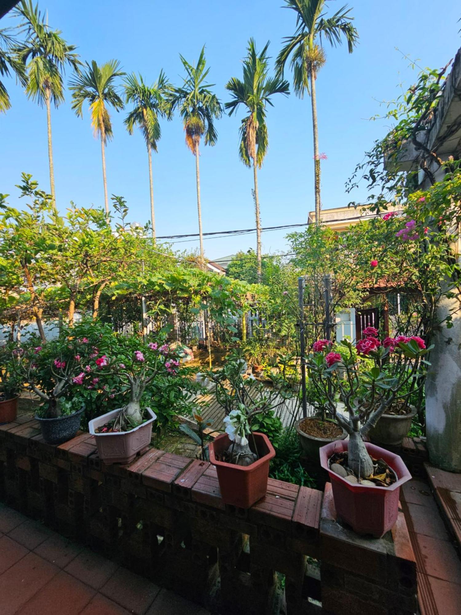 Rose Homestay Hue Thon Kim Long Zewnętrze zdjęcie